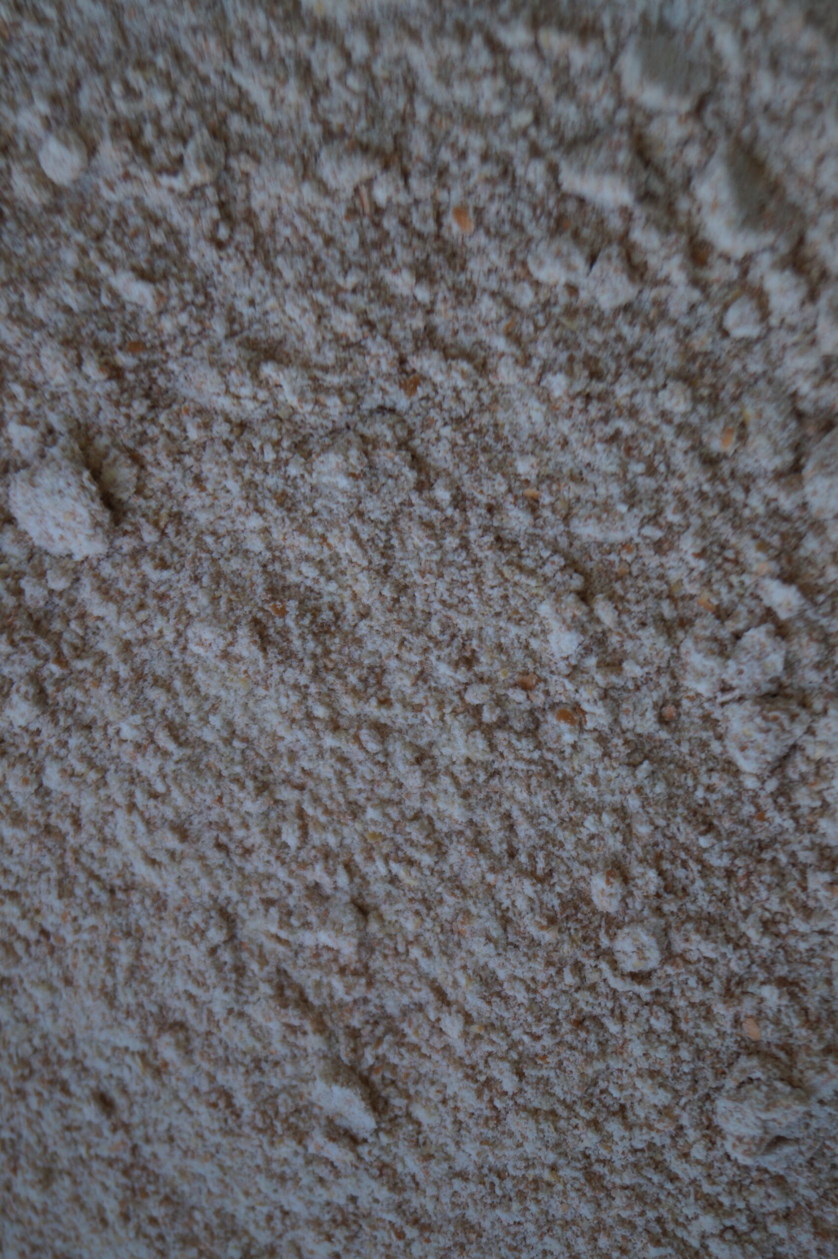 Roter Weizen Vollkornmehl, 1.2kg